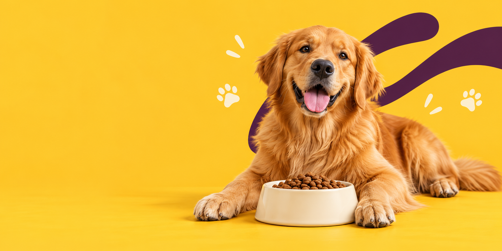 Tail-Wagging Nutrition Collection Banner with happy dog and bowls